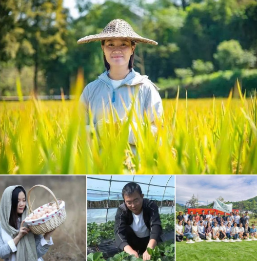 Farm.png