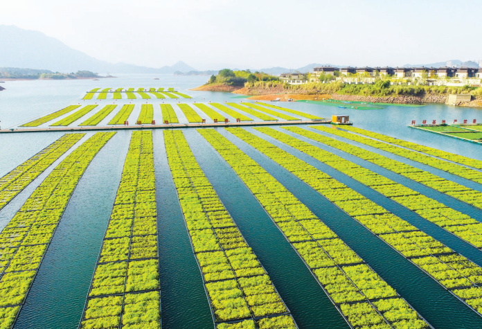 Large floating floral display takes shape in Chun'an