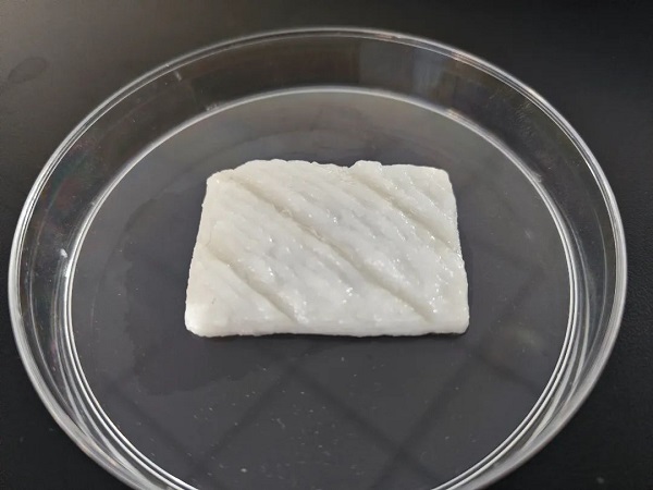 Chinese researchers develop tissue-like cultured fish fillets