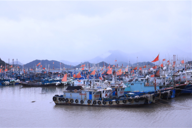 Zhejiang on high alert as Typhoon Muifa approaches