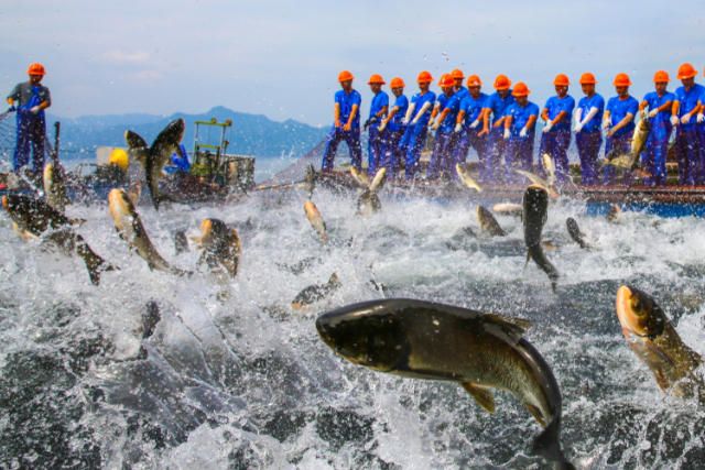 Celebrating Chinese Farmers' Harvest Festival