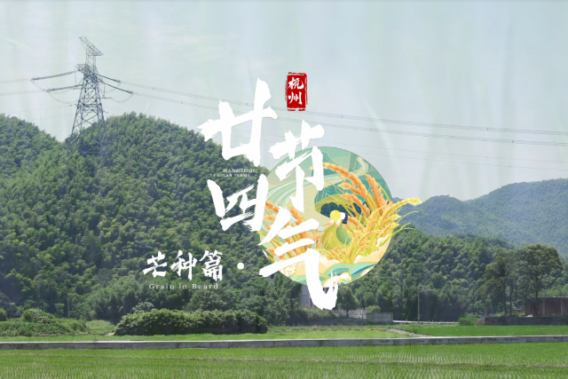 24 Solar Terms in Hangzhou: Grain in Beard
