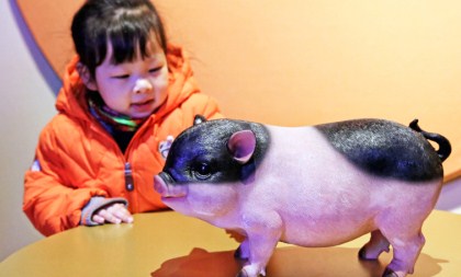 Year of the Pig exhibition underway in Hangzhou