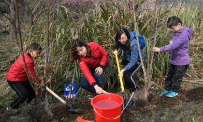Families plant trees at wetland park in Hangzhou to greet Arbor Day