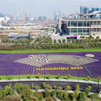 Hangzhou in bloom: Sea of flowers mark Asian Games 2022