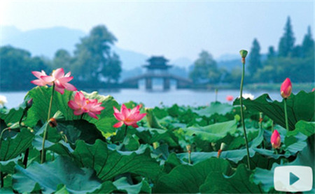Picturesque Zhejiang
