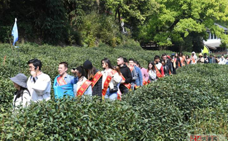 Intl students experience Longjing tea culture