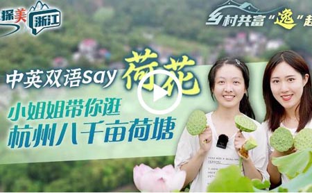 Video: Touring 500 hectares of lotus pond in Jiande