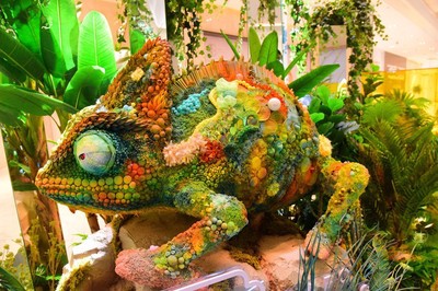 Immersive plant art show now on in Hangzhou