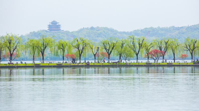 Xi Story: Preserving the beauty of West Lake