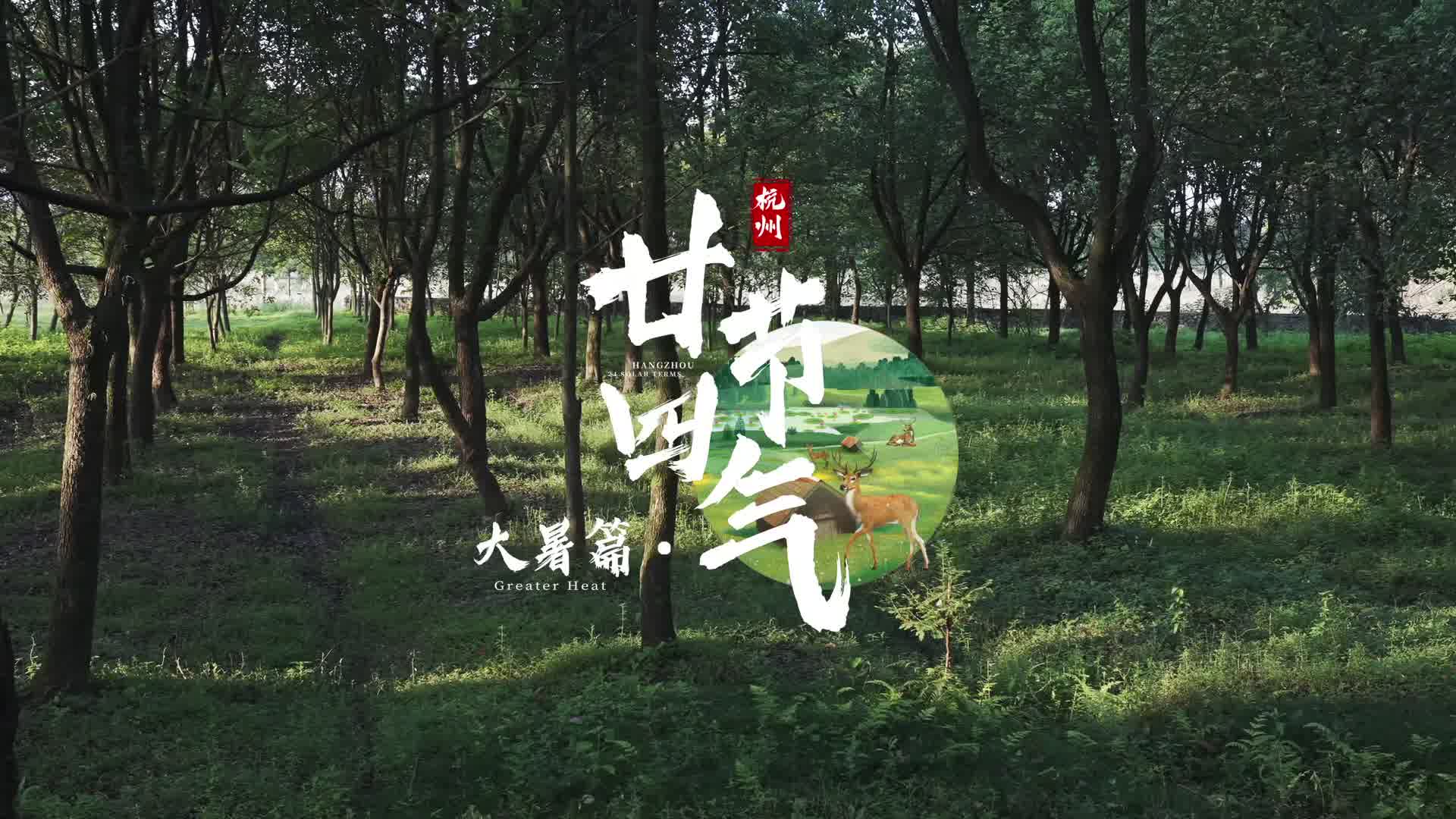 24 solar terms in Hangzhou: Everything's so lovely during Major Heat