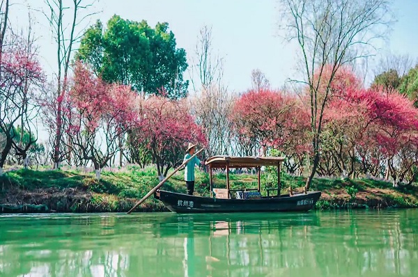 Learn about the ecological 'green lung' at Xixi Wetland