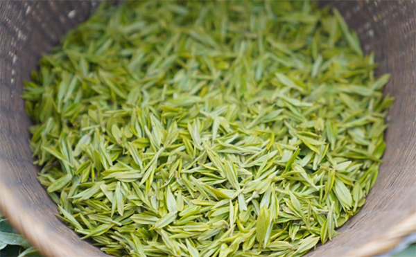 West Lake Longjing Tea protection regulations to take effect in spring 2022