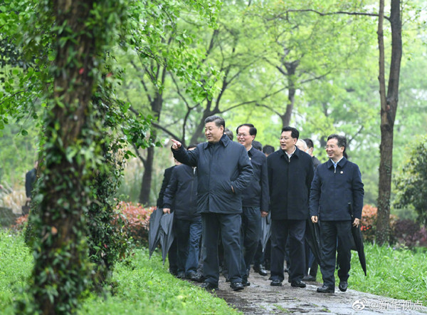 president xi hangzhou wetland.jpg