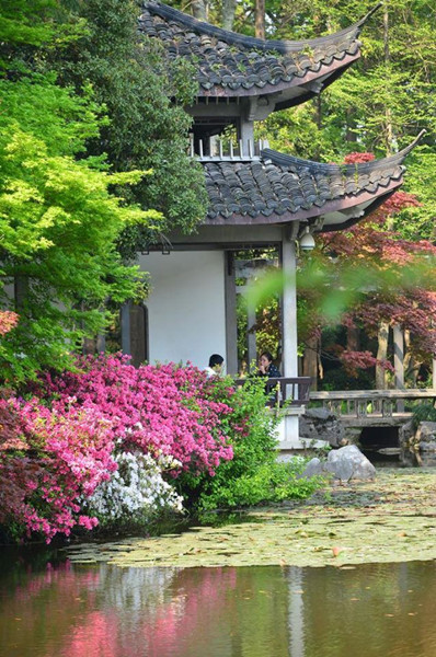 Hangzhou botanical garden.jpg