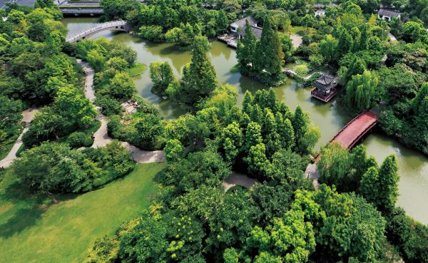 Hangzhou river lined with trees.jpg