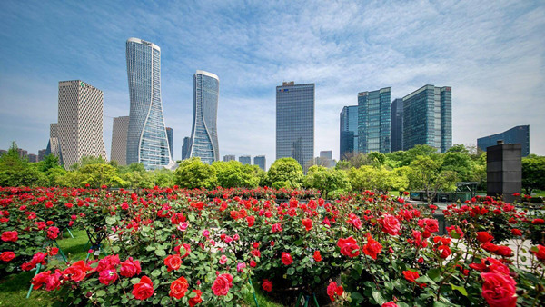 Chinese roses Hangzhou.jpg