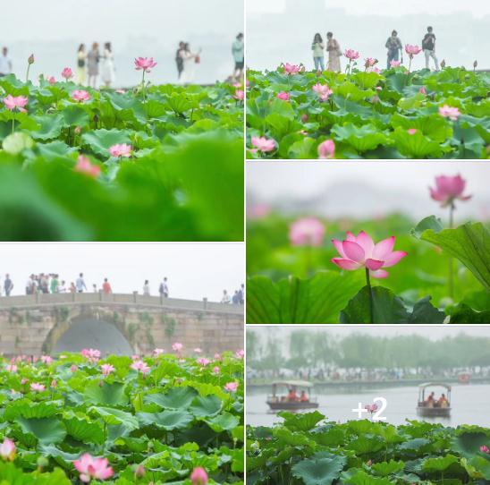 西湖.jpg