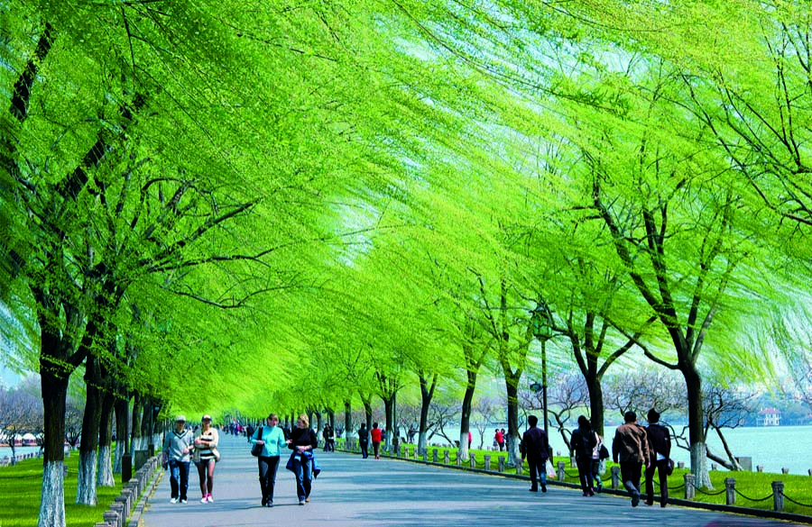 陈良《生态西湖》杭州生活类.jpg