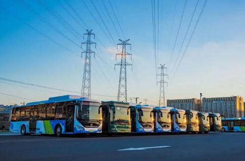 Bus.jpg