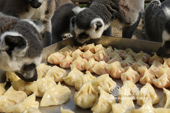 冬至饺子4.jpg
