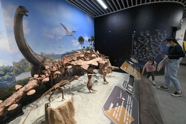 1655198643468023812.jpg Museum.jpg