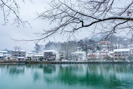 Resident planners speed up beautiful countryside construction in Hangzhou