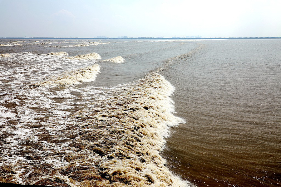 Natural spectacle Qiantang Tidal Bore to wow Hangzhou spectators