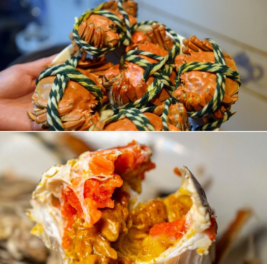 Crab.png