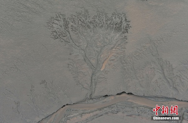 In pics: Qiantang River creates amazing tidal creeks in Hangzhou