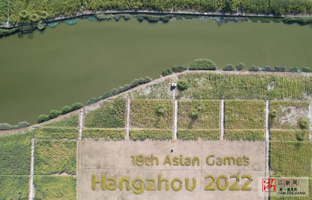 Water 2.jpg