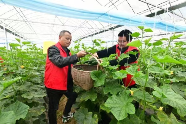 Zhejiang to build 10,000 common prosperity workshops