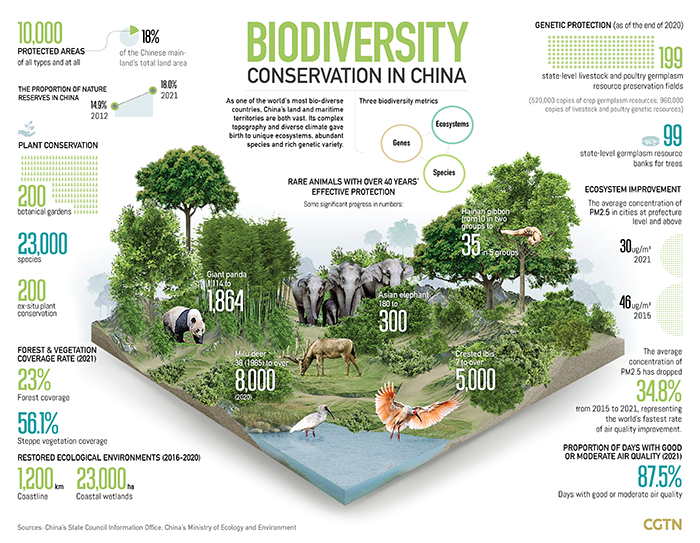 China to continue promoting the adoption of 'post-2020 biodiversity framework'