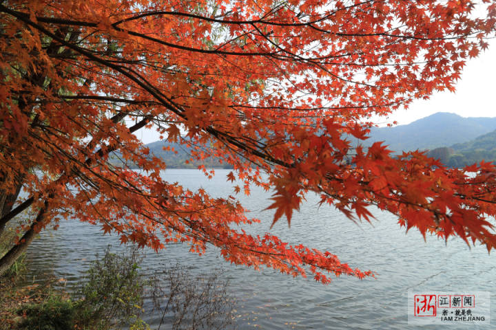 Enjoying winter landscapes in Hangzhou