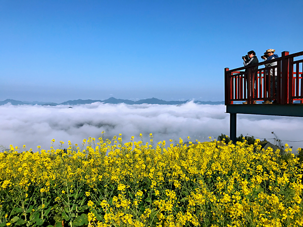 Zhejiang implements rural green revival program to overhaul living environment of villages