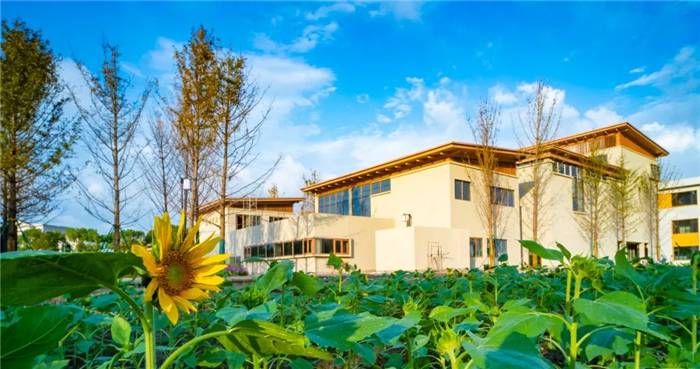 Green Rural Revival Program lifts image of countryside in China's Zhejiangge of countryside in China's Zhejiang