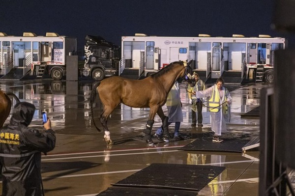 First batch of race horses arrive at Tonglu Equestrian Center for Asian Games