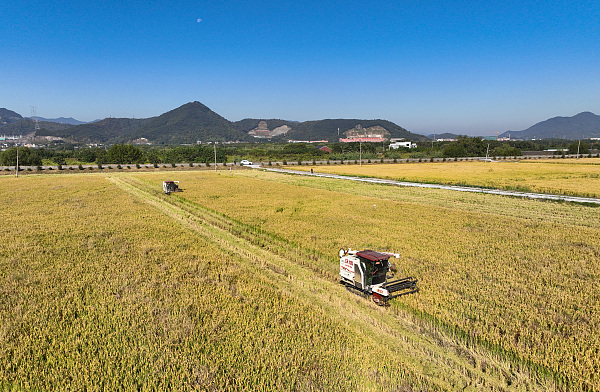 Xiaoshan gets creative with rice cultivation, yields harvest