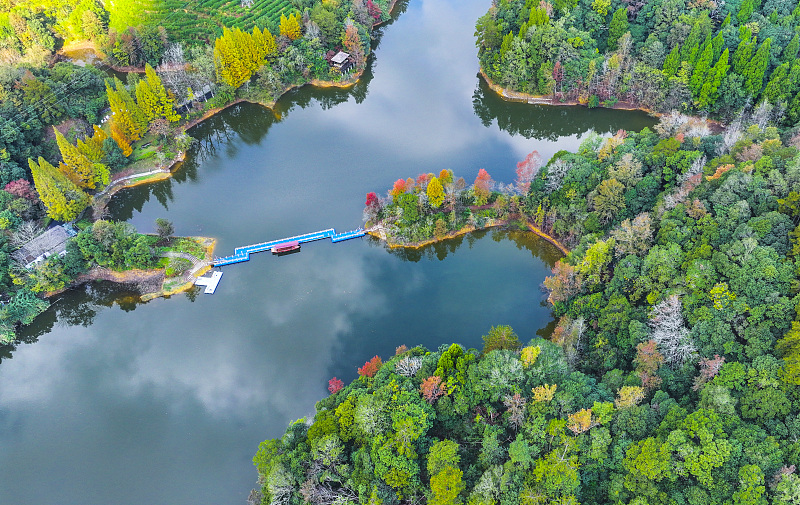 Qiandao Lake takes on autumn palette