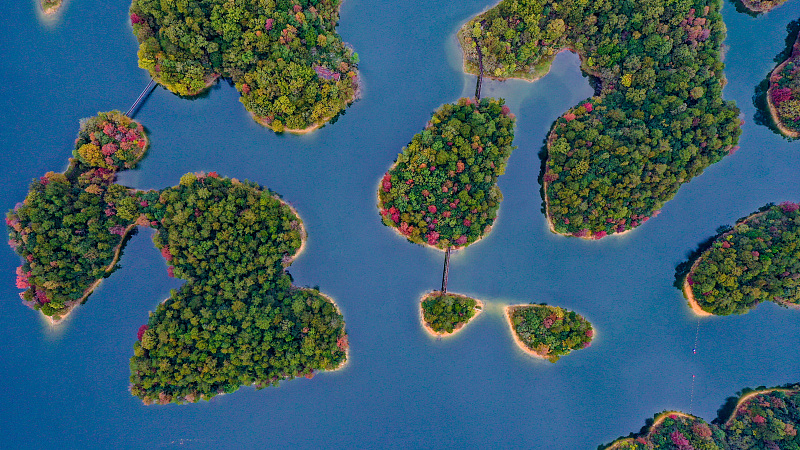 Green islets offer a wonderland in Hangzhou