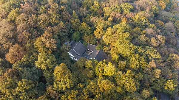 West Lake attracts visitors to admire its beauty in Hangzhou