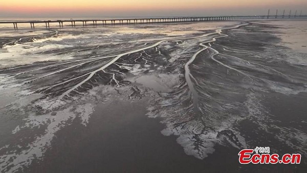 'Tidal trees' frozen on Qiantang River