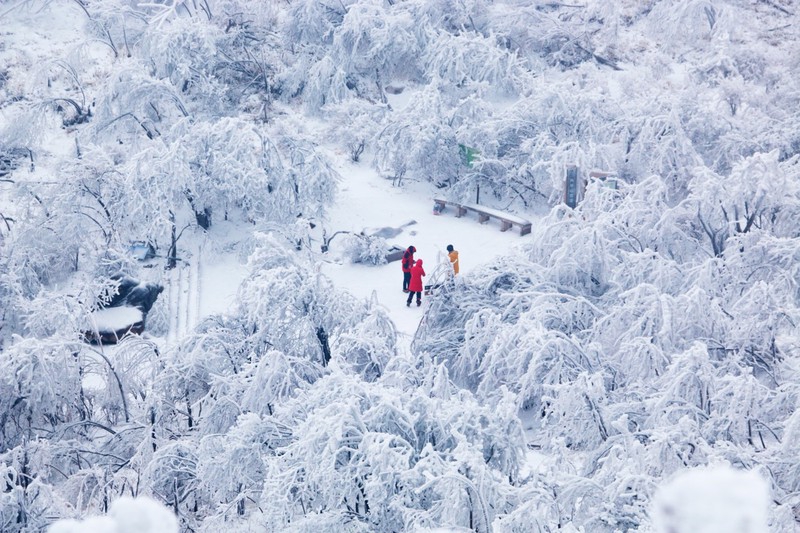 Experience winter romance in Yuhang: A budget-friendly alternative to Hokkaido