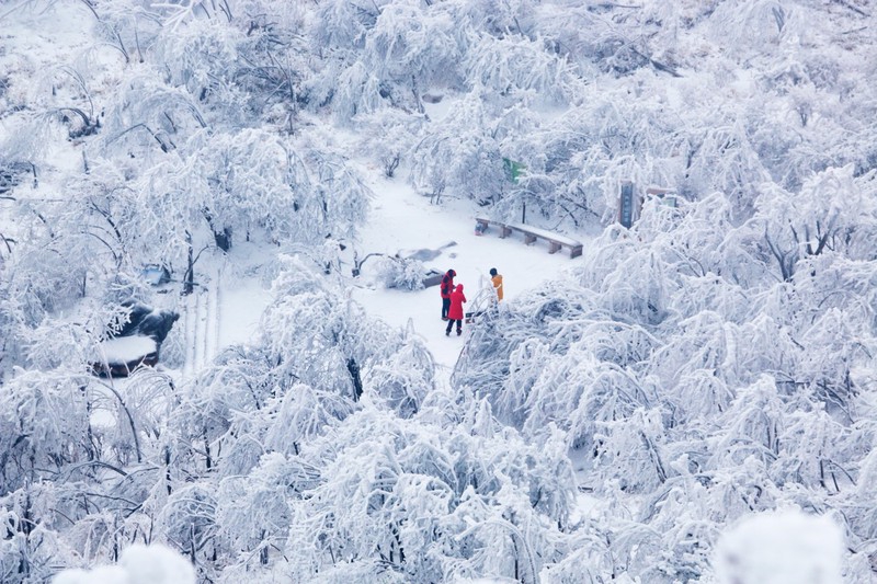 雪景1.jpg