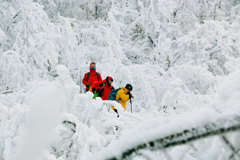 雪景3.jpg