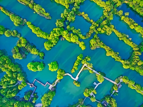 Springtime boat excursions in Hangzhou