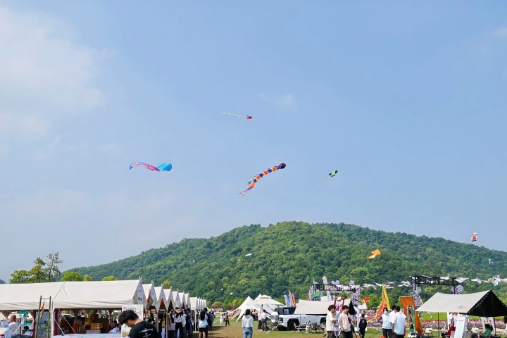 First Hangzhou Intl Kite Festival kicks off with 'sky battles' over Tongjian Lake