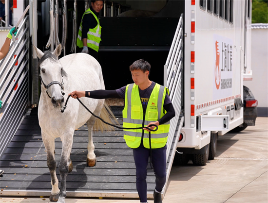 50 horses arrive for 2nd Intl Equestrian Open in Tonglu
