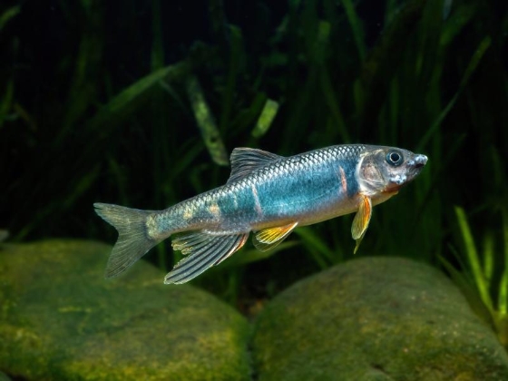 生物多样性1.jpg