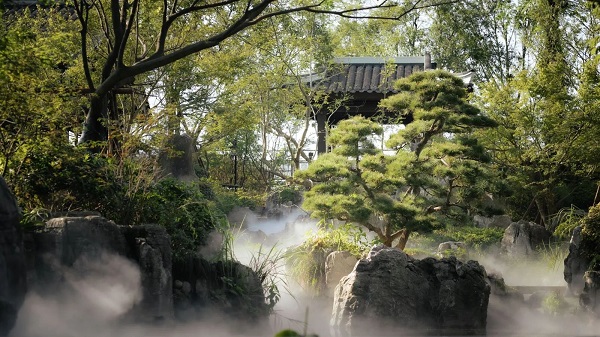Dream mountain path unveiled at Jingshan Tea Culture Park
